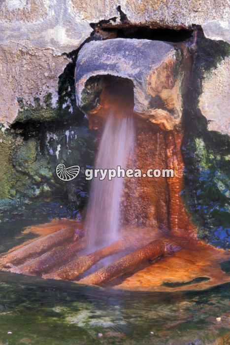 Source thermale (Source du Par, Chaudes-Aigues, Cantal, France) - gryphea.com